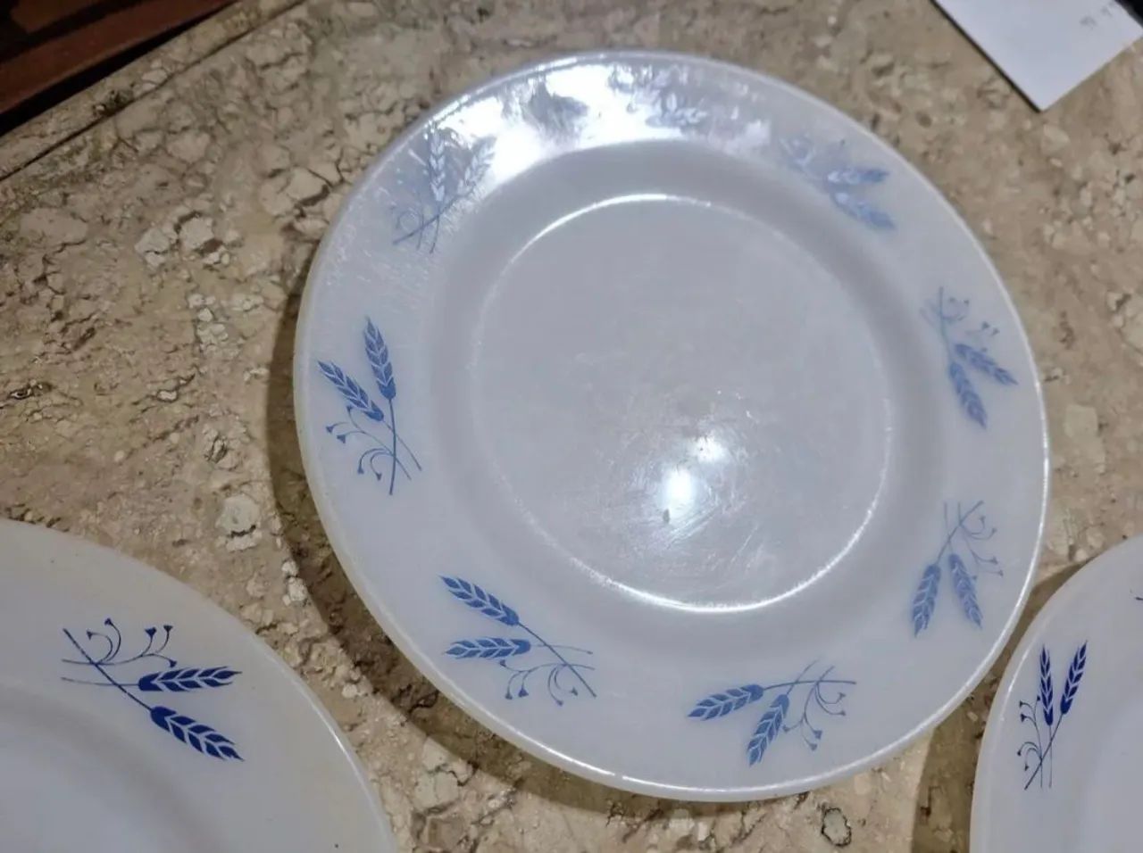 Pratos Termo-rey  - Foto 2