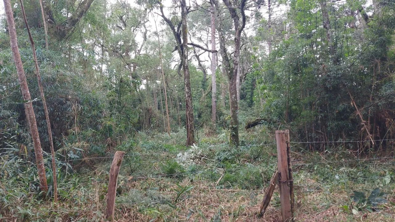 Venda - Foto 4