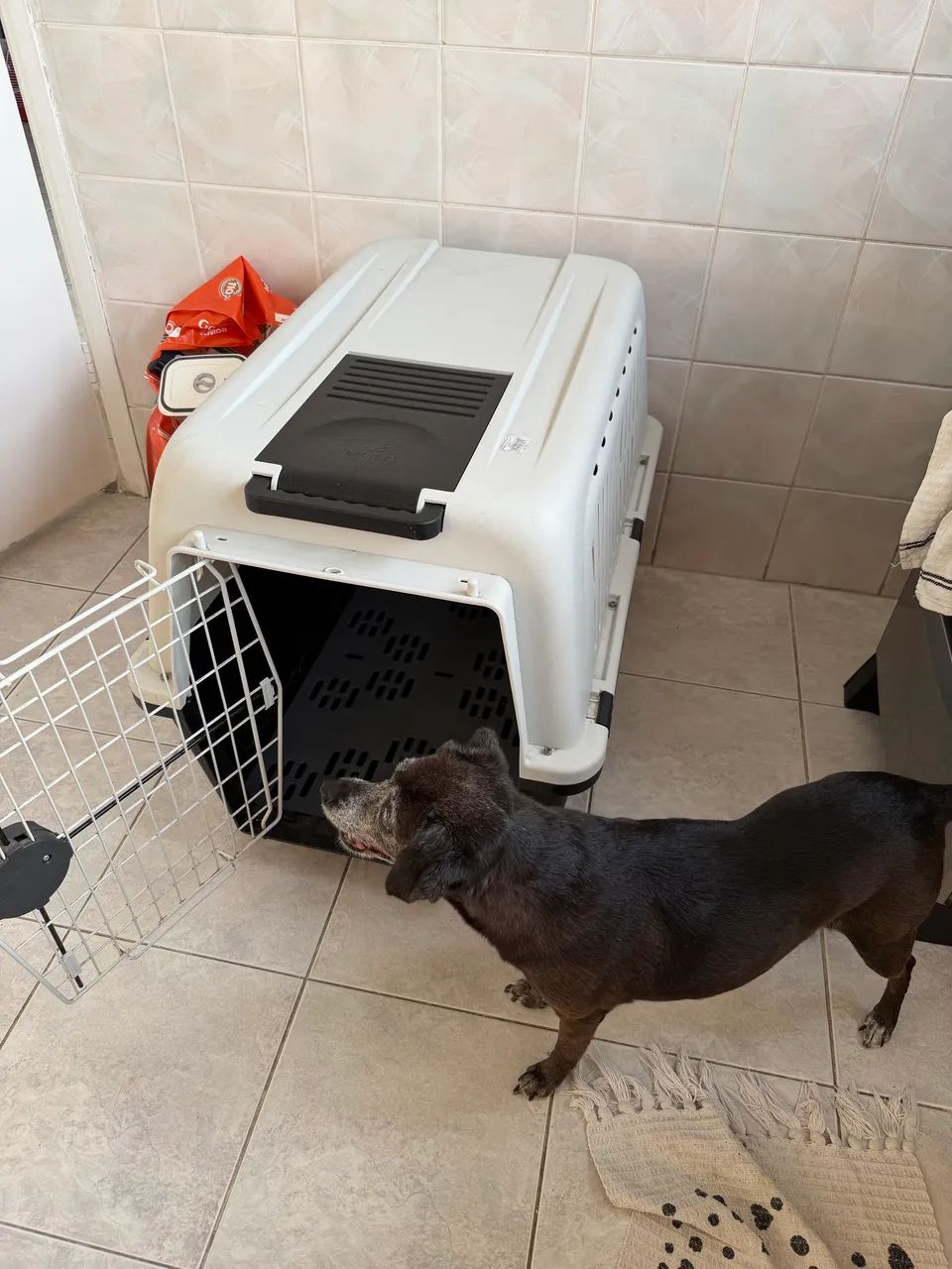 Caixa de transporte para cachorro  - Foto 4