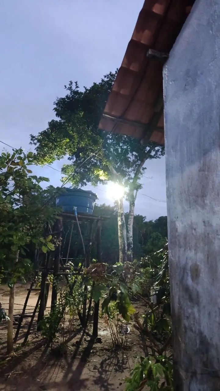VENDO SÍTIO  - Foto 5
