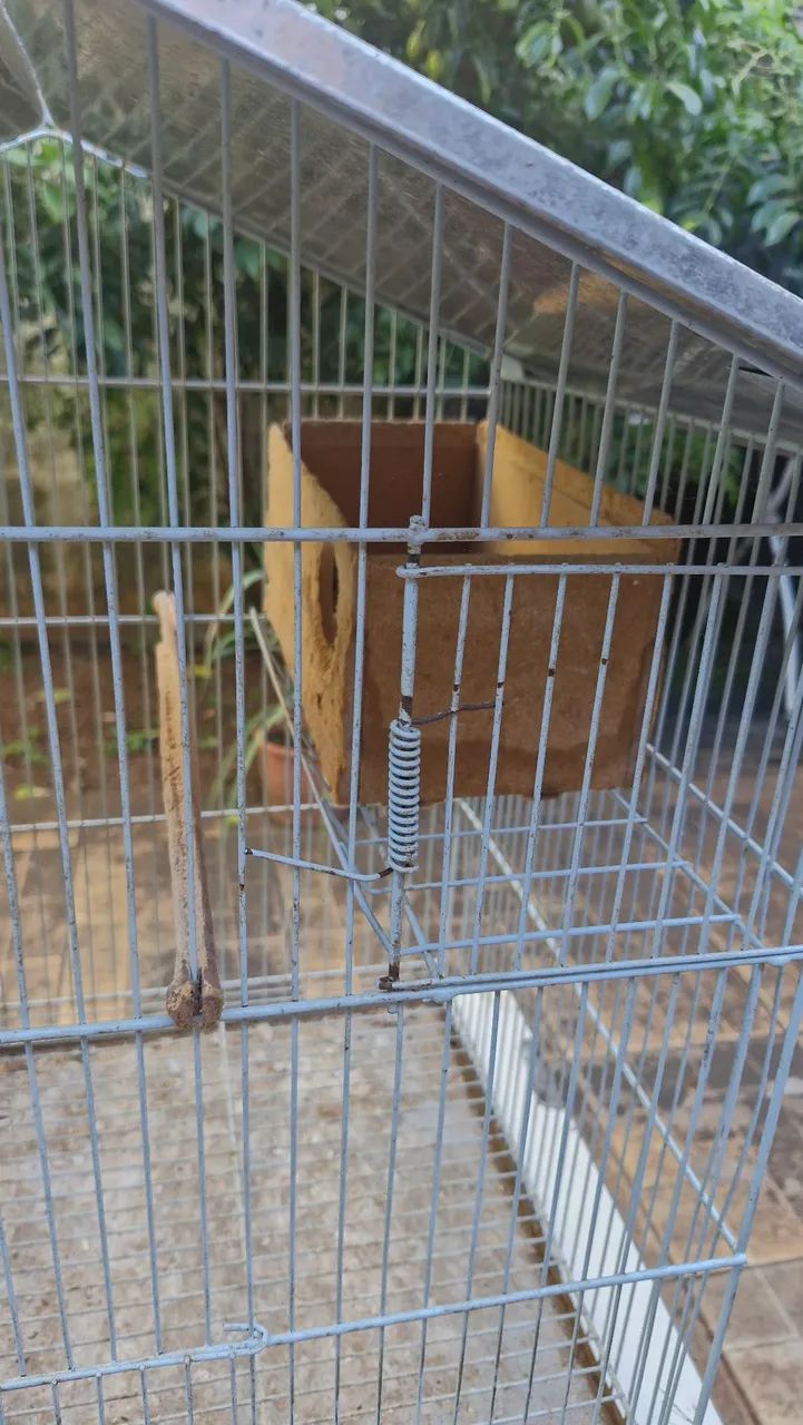 Gaiola grande  - Foto 4