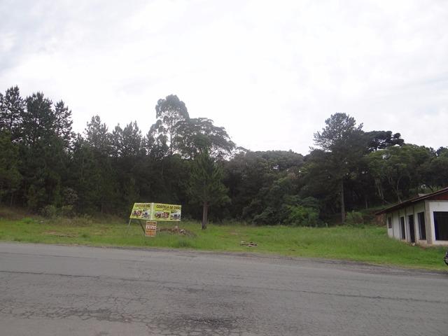 Terreno comercial plano na Ferraria - Campo Largo - Foto 10