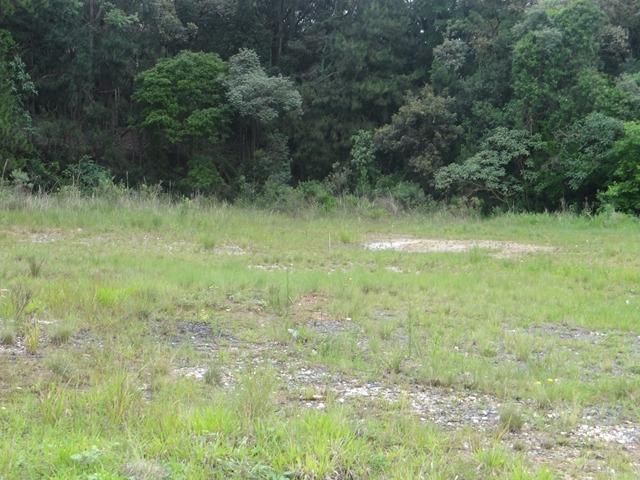 Terreno comercial plano na Ferraria - Campo Largo - Foto 4