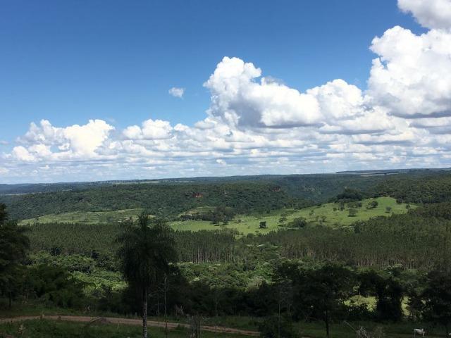 Fazenda de 500 hectares, terra de Furmas - Foto 4