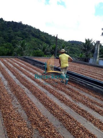Fazenda à venda, 4200000 m² por R$ 5.200.000,00 - Ubaitaba - Ubaitaba/BA - Foto 3