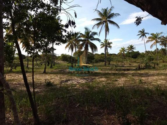Terreno à venda, 1000 m² por r$ 90.000 - mogiquiçaba - belmonte/bahia - Foto 10
