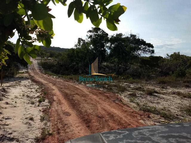 Terreno à venda, 1000 m² por r$ 90.000 - mogiquiçaba - belmonte/bahia - Foto 15