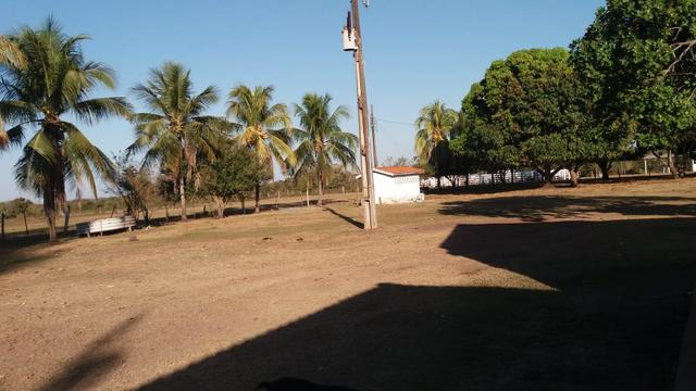 Fazenda 1.200 hectares á 20 km de Cuiabá - Foto 15