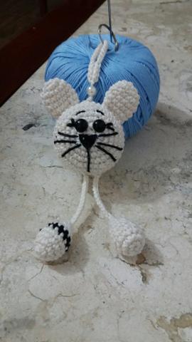 Gatinho legal