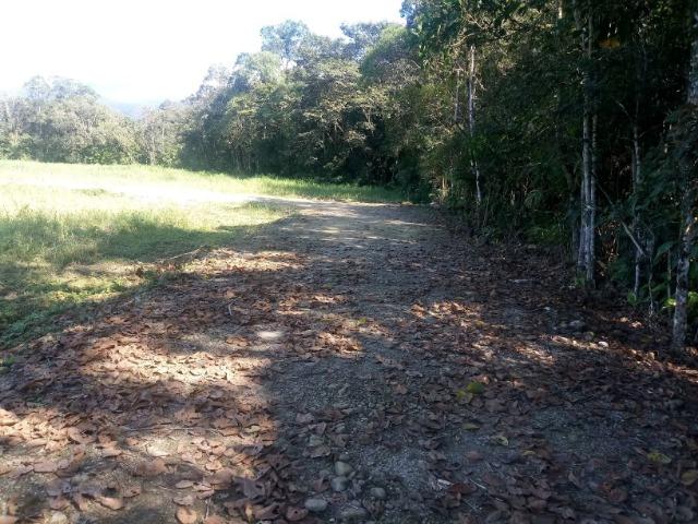 Chácara - Raia Velha - Morretes - Foto 8