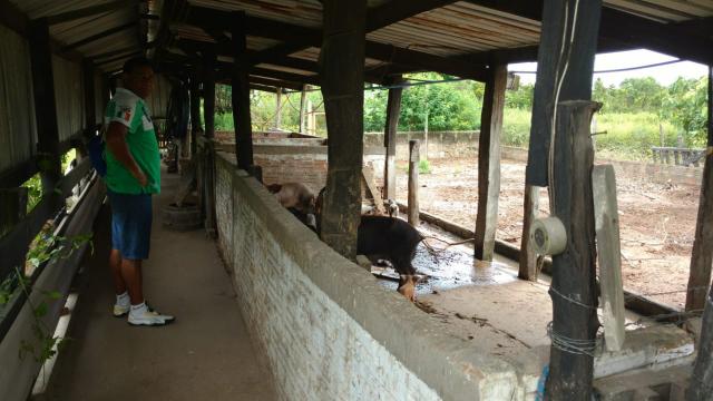 Chácara 12 hectares á 14 km de Cuiabá á venda - Foto 2