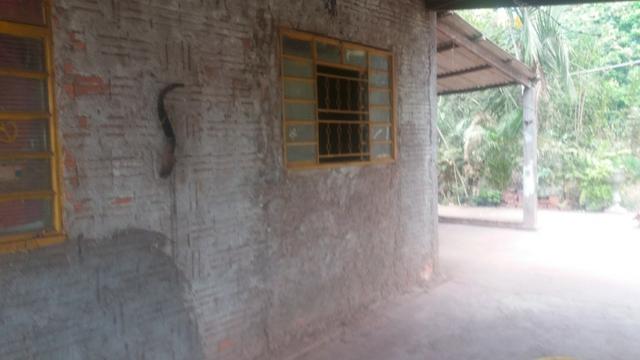 Chacara - Foto 6