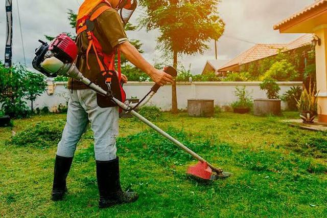 Serviço de jardinagem