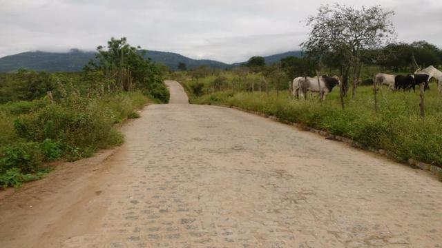 Ótima fazenda pitombeira em vertentes, com 161 hectares - Foto 5