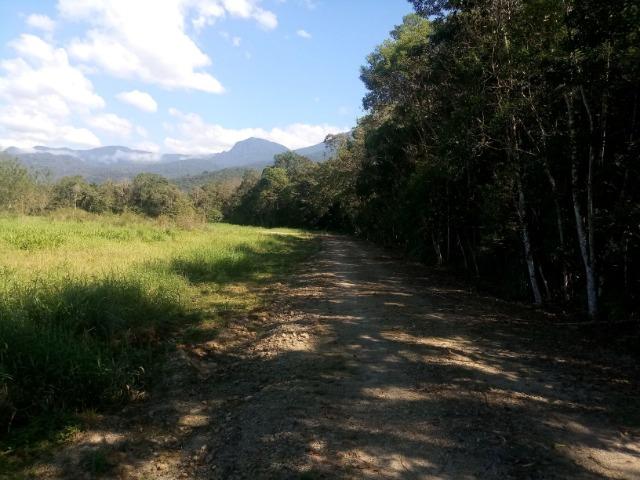Chácara - Raia Velha - Morretes - Foto 11