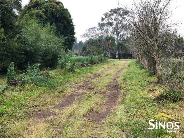 Área de terra próximo ao centro de Lomba Grande - Foto 4