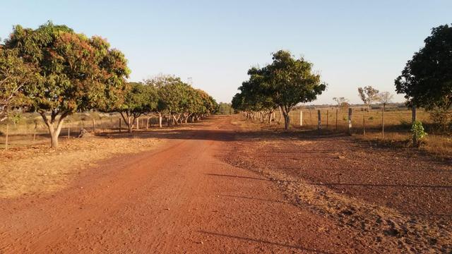 Fazenda 1.200 hectares á 20 km de Cuiabá - Foto 4