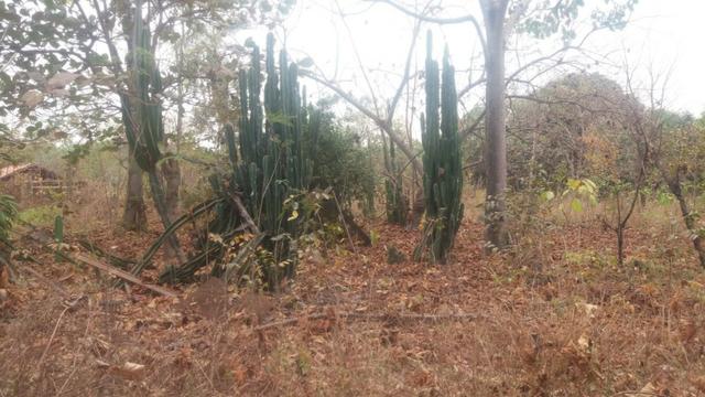 Chacara - Foto 12