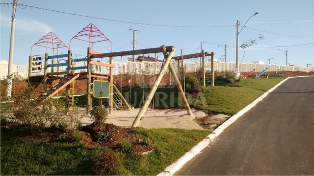 Terreno à venda em Protásio alves, Porto alegre cod:42525 - Foto 13
