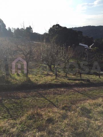 Casa à venda com 2 dormitórios em Fazenda souza, Caxias do sul cod:511 - Foto 6