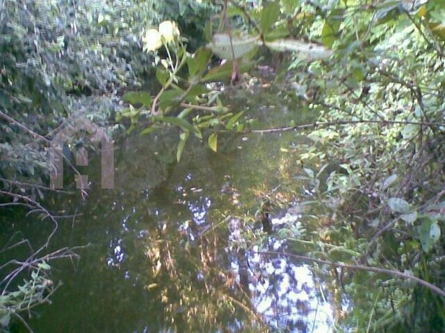Chácara à venda em Nova palmira, Caxias do sul cod:248 - Foto 3