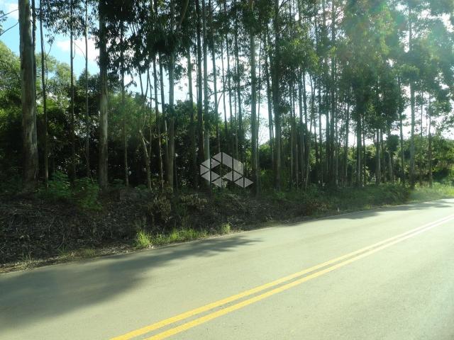 Chácara à venda em Centro, Coronel pilar cod:9904631 - Foto 3