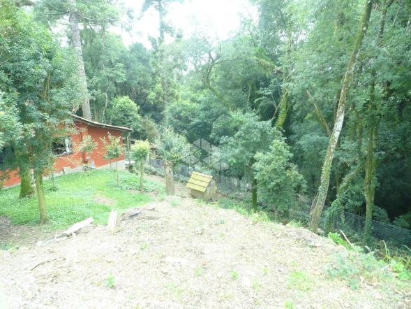 Terreno à venda em São francisco, Garibaldi cod:9904279 - Foto 3