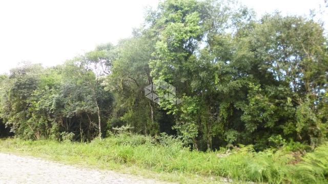 Terreno à venda em Garibaldina, Garibaldi cod:9906884 - Foto 2