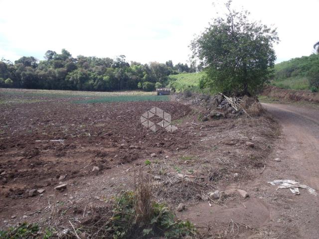 Chácara à venda em Interior, Garibaldi cod:9905726 - Foto 4