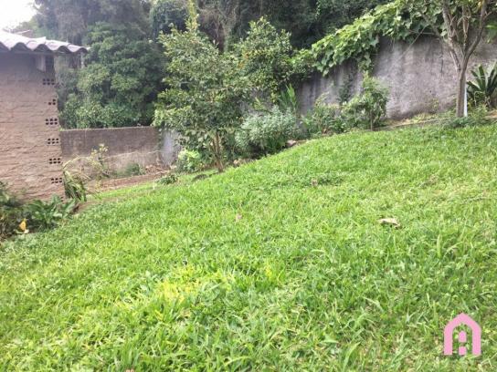 Casa à venda com 3 dormitórios em Diamantino, Caxias do sul cod:3034 - Foto 13