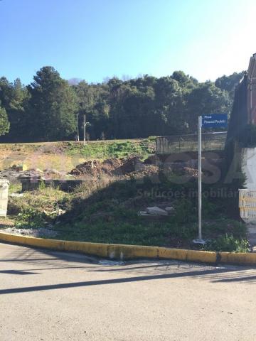Terreno à venda em Loteamento baggio, Nova pádua cod:491 - Foto 14