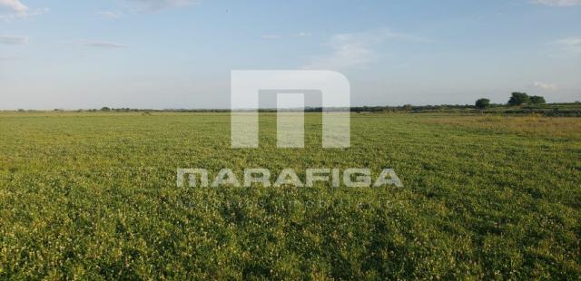 Chácara à venda em Uruguai, Uruguai cod:5557 - Foto 3