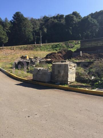 Terreno à venda em Loteamento baggio, Nova pádua cod:491 - Foto 4