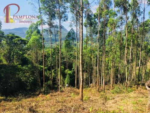 Sítio à venda em Ribeirão souto, Pomerode cod:1875 - Foto 18