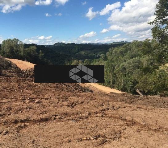 Terreno à venda em Santa helena, Bento gonçalves cod:9903094 - Foto 2