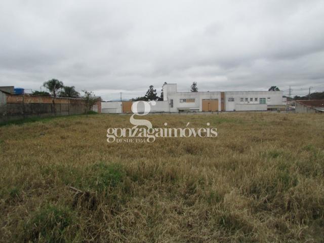 Terreno para alugar em Cajuru, Curitiba cod:14653001 - Foto 6