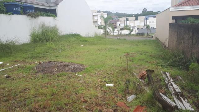 Terreno à venda em Alto petrópolis, Porto alegre cod:9903547 - Foto 3