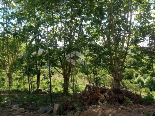 Terreno à venda em Vale dos vinhedos, Bento gonçalves cod:9889732 - Foto 5