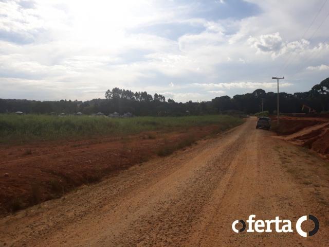 Terreno à venda em Centro, Contenda cod:526