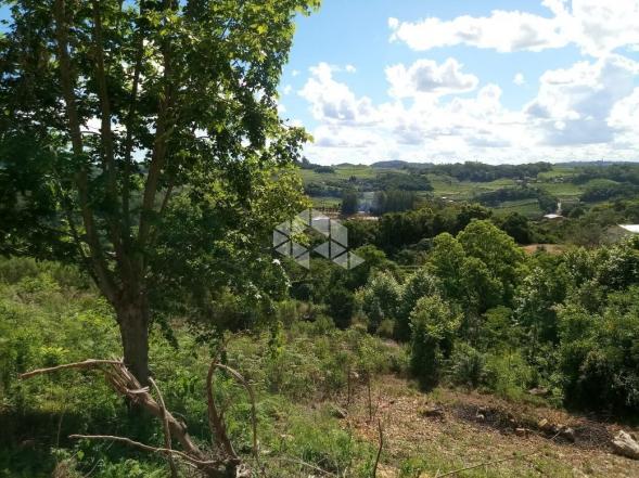 Terreno à venda em Vale dos vinhedos, Bento gonçalves cod:9889732 - Foto 8