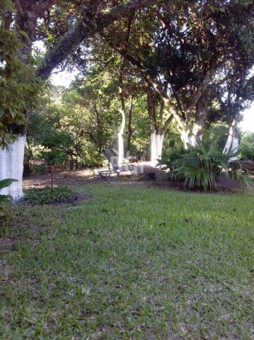 Sítio à venda em Laranjeiras, Osório cod:LI50877595 - Foto 6