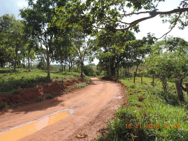 Vende-se terreno de 14 hectares - Foto 10
