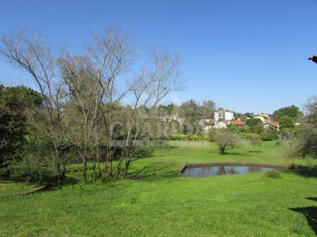 Sítio à venda em Cristo rei, Estrela cod:154552 - Foto 5
