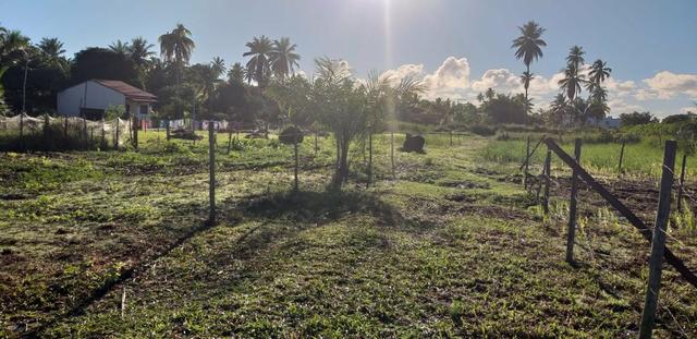 Terreno 36 Vezes Garapua Morro de São Paulo - Foto 2