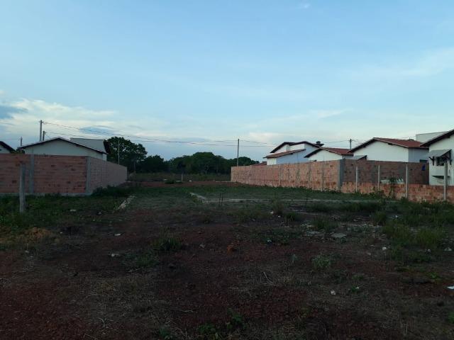 Terreno em Barras PI - Foto 4