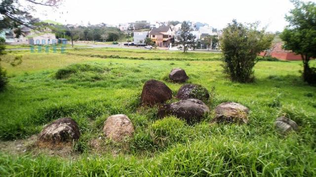 Terreno, Protásio Alves, Porto Alegre-RS - Foto 4