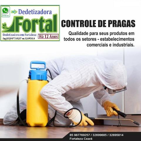 Dedetizadora Fortal, Dedetização e Limpeza de Caixa D´Água