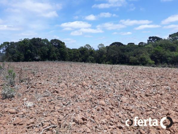 Chácara à venda em Araucária cod:566 - Foto 3