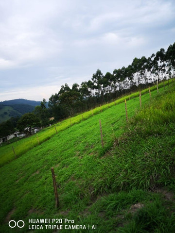 54V terreno com ótimo acesso - Foto 3