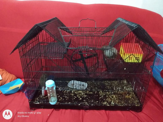 Vende-se gaiolas para hamster - Foto 3